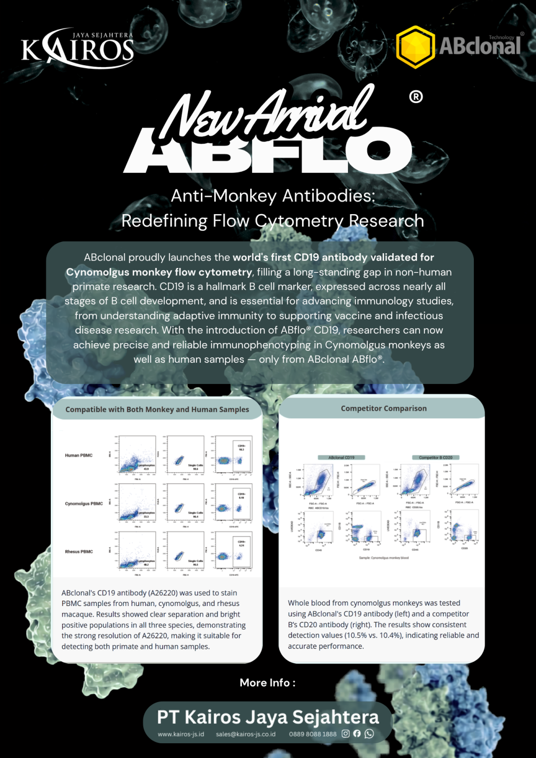 ABflo™ by ABclonal – Advanced Flow Cytometry Antibodies – Kairos Jaya ...