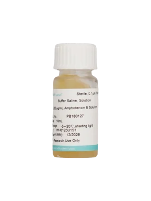 250 μg/mL Amphotericin B Solution (10 mL)