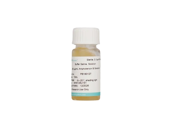 250 μg/mL Amphotericin B Solution (10 mL)
