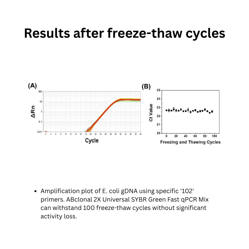 2X Universal SYBR Green Fast qPCR Mix (3)