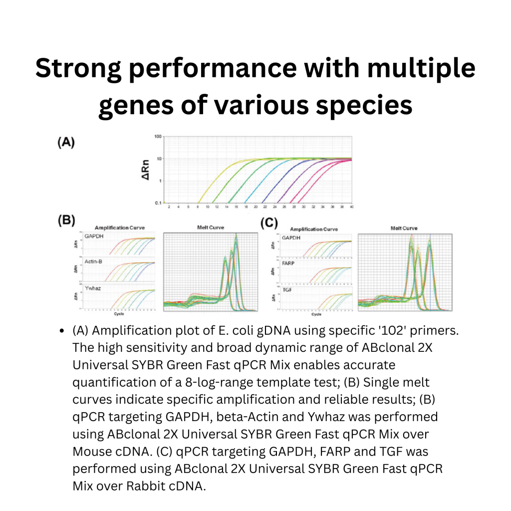 2X Universal SYBR Green Fast qPCR Mix (5)