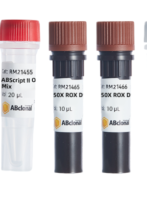 ABScript II One Step SYBR Green RT-qPCR Kit 250RXN