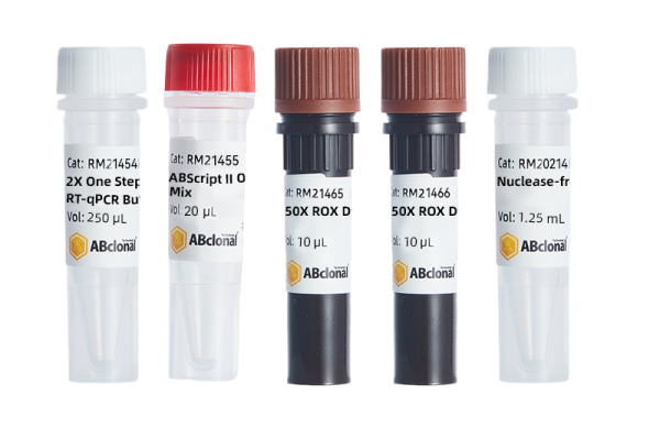 ABScript II One Step SYBR Green RT-qPCR Kit 250RXN