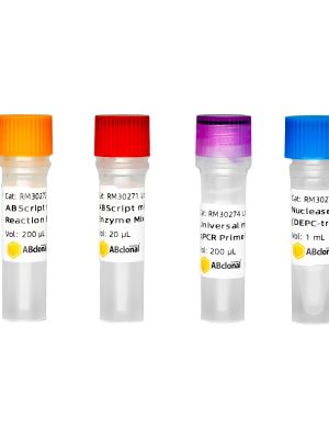 ABScript miRNA First-Strand Synthesis Kit (by tailing A) 20RXN