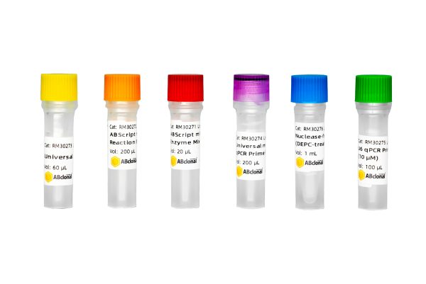 ABScript miRNA First-Strand Synthesis Kit (by tailing A) 20RXN