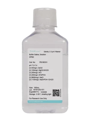 Dulbecco's Phosphate Buffer (DPBS, 1 ×), with calcium, magnesium, without phenol red (500 mL)