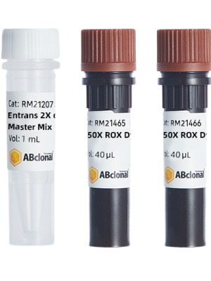 Entrans 2X qPCR Probe Master Mix 500rxn