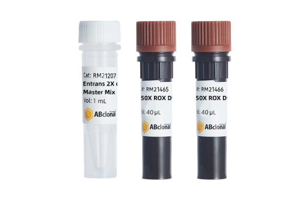 Entrans 2X qPCR Probe Master Mix 500rxn Entrans 2X qPCR Probe Master Mix 500rxn