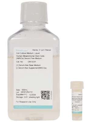 Human Mesenchymal Stem Cells (hMSCs) Serum-Free Medium (100 mL)
