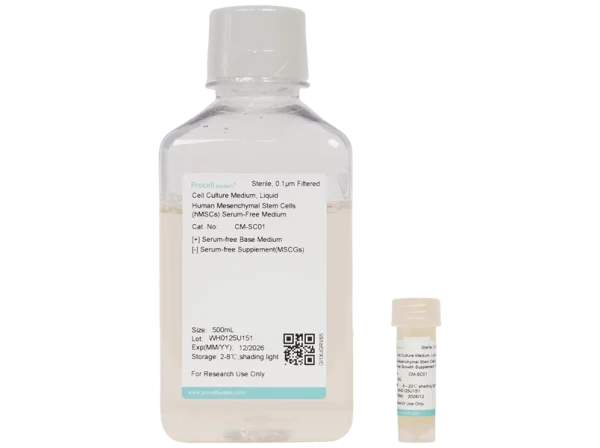 Human Mesenchymal Stem Cells (hMSCs) Serum-Free Medium (100 mL)