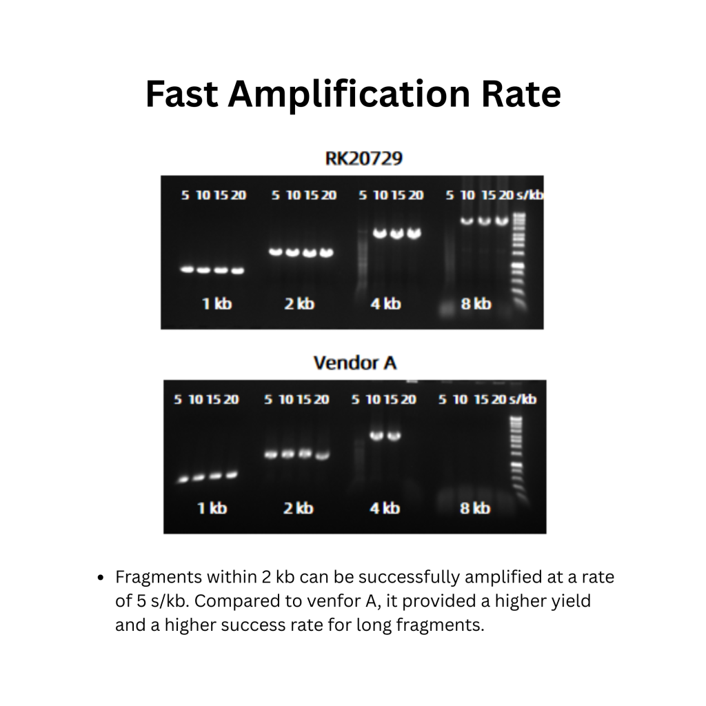 PowerPol 2X PCR Mix with Dye V2 (1)