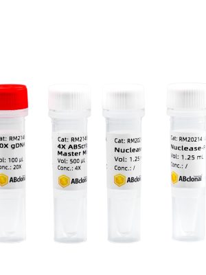 ABScript Neo RT (cDNA synthesis) Master Mix for qPCR with gDNA Remover