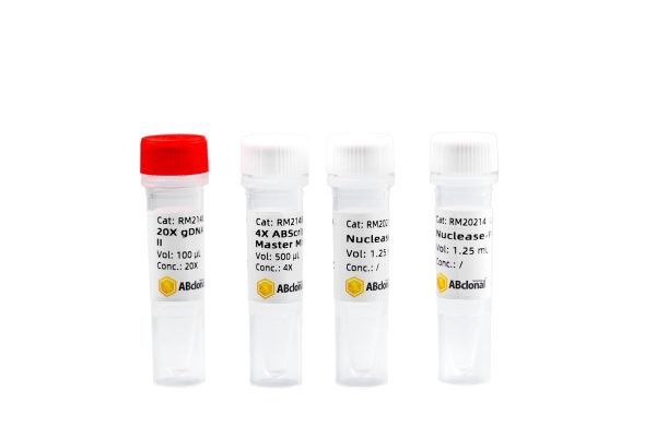 ABScript Neo RT (cDNA synthesis) Master Mix for qPCR with gDNA Remover