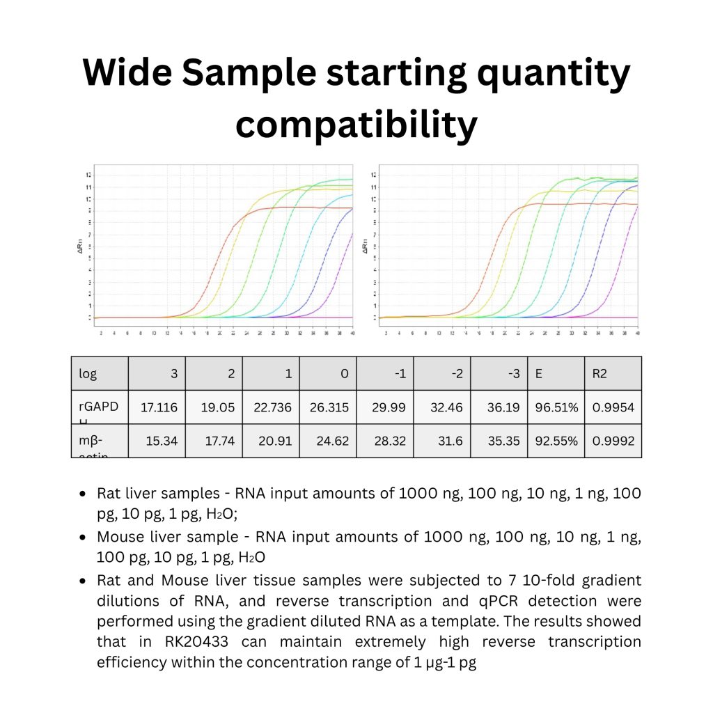 ABScript Neo RT (cDNA synthesis) Master Mix for qPCR with gDNA Remover (2)