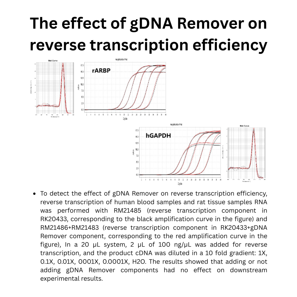 ABScript Neo RT (cDNA synthesis) Master Mix for qPCR with gDNA Remover (3)