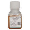 Fetal Bovine Serum, Premium (100 mL)