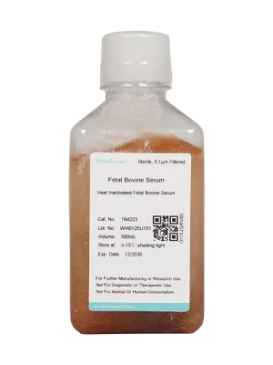 Heat Inactivated Fetal Bovine Serum (500 mL)