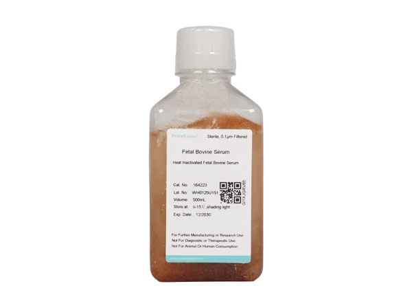 Heat Inactivated Fetal Bovine Serum (500 mL)