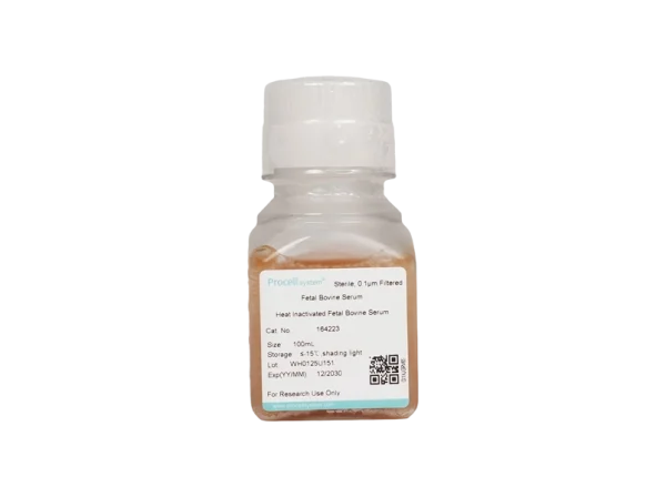 Heat Inactivated Fetal Bovine Serum (100 mL)