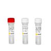 5'App-T4 DNA Ligase