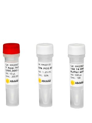 5'App-T4 DNA Ligase