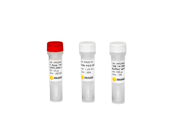 5'App-T4 DNA Ligase