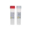 E.coli DNA Ligase