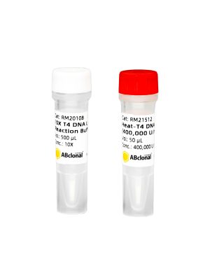 Heat-T4 DNA Ligase